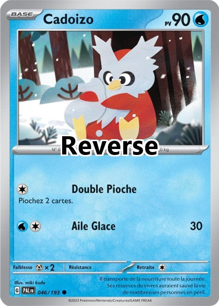 Cadoizo reverse