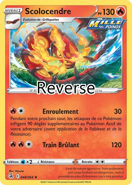 Scolocendre reverse