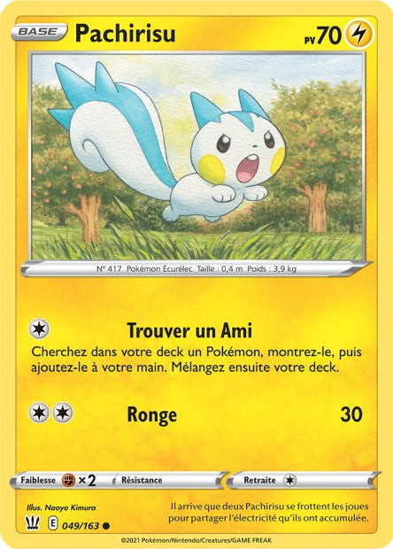 Pachirisu 049