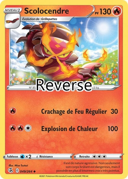 Scolocendre reverse