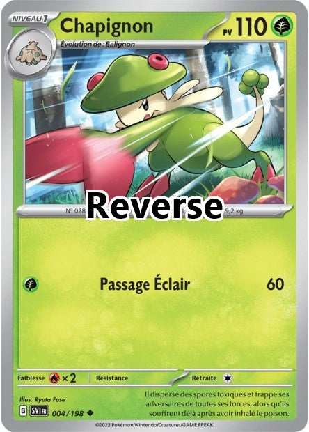 Chapignon reverse