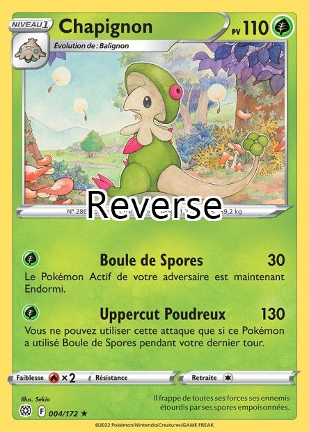 Chapignon reverse