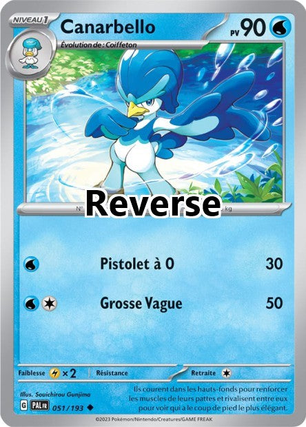 Canarbello reverse