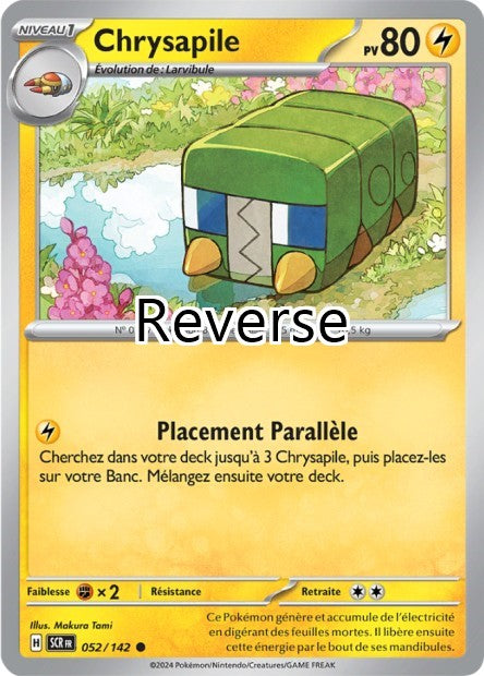 Chrysapile reverse