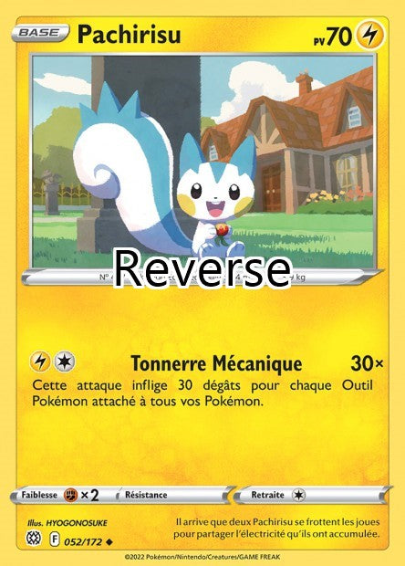 Pachirisu reverse