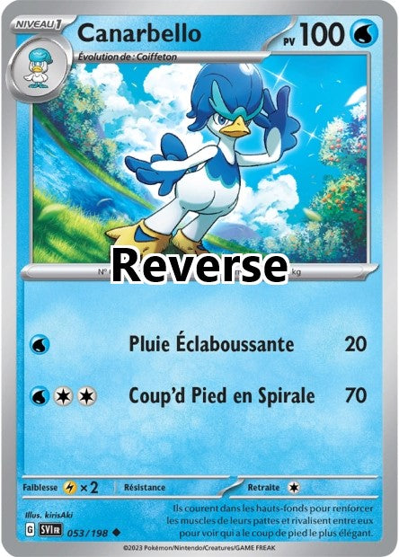 Canarbello reverse