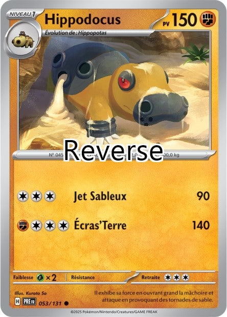 Hippodocus reverse