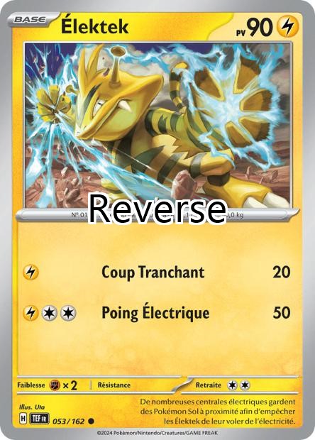 Elektek reverse