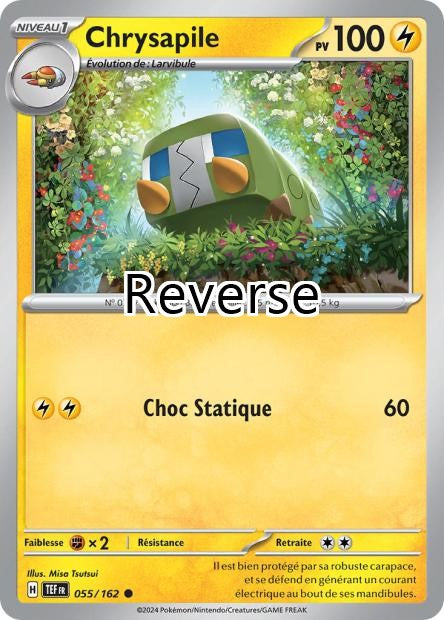 Chrysapile reverse