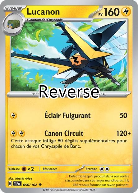 Lucanon reverse