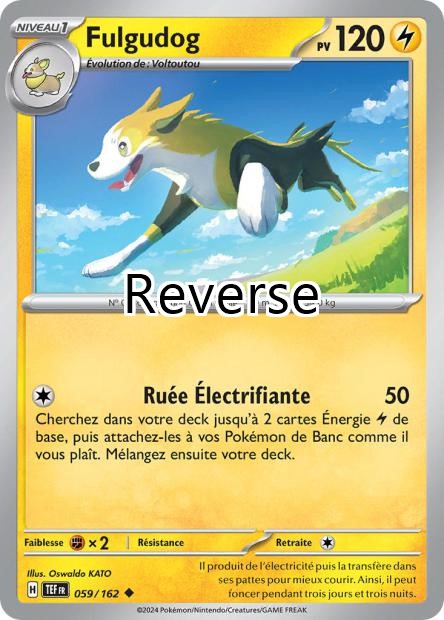 Fulgudog reverse
