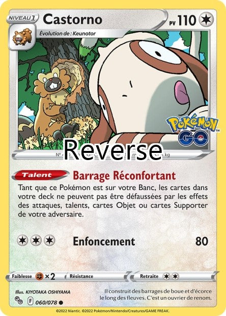 Castorno reverse