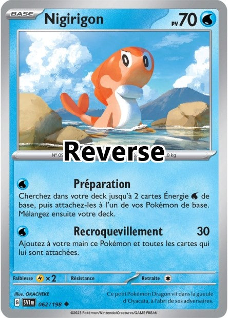 Nigirigon reverse