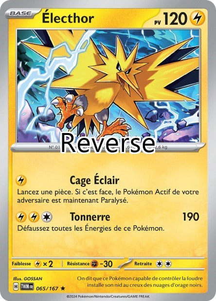 Electhor reverse