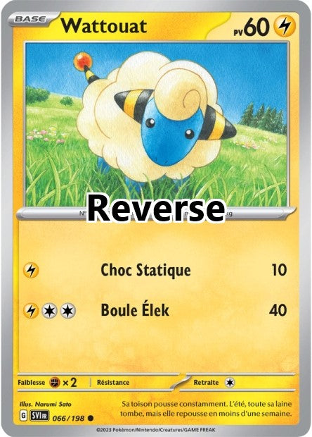 Wattouat reverse