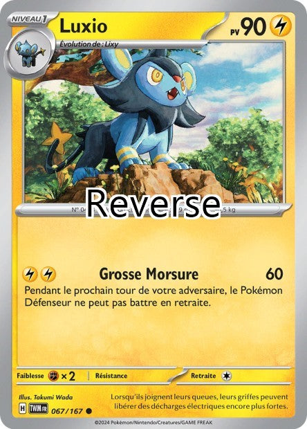 Luxio reverse