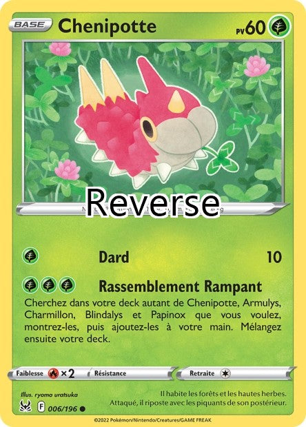 Chenipotte reverse