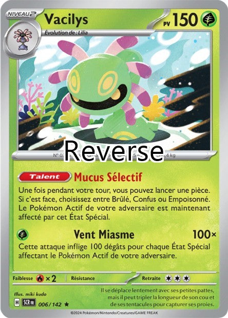 Vacilys reverse