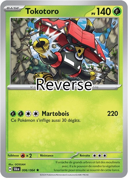 Tokotoro reverse