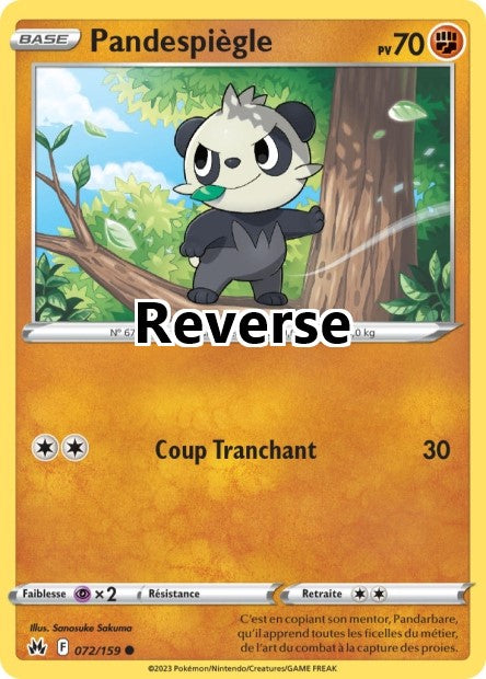 Pandespiègle reverse
