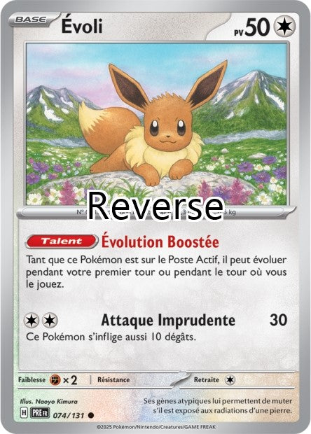 Évoli reverse