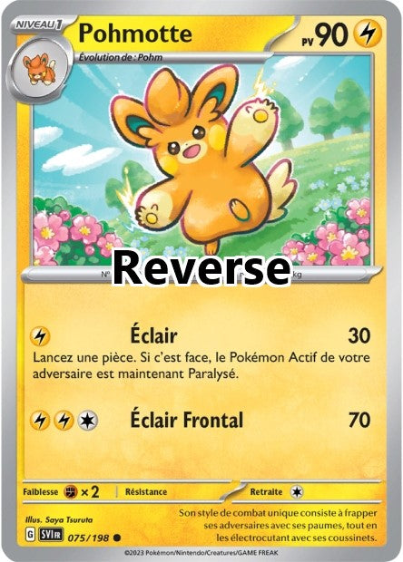 Pohmotte reverse
