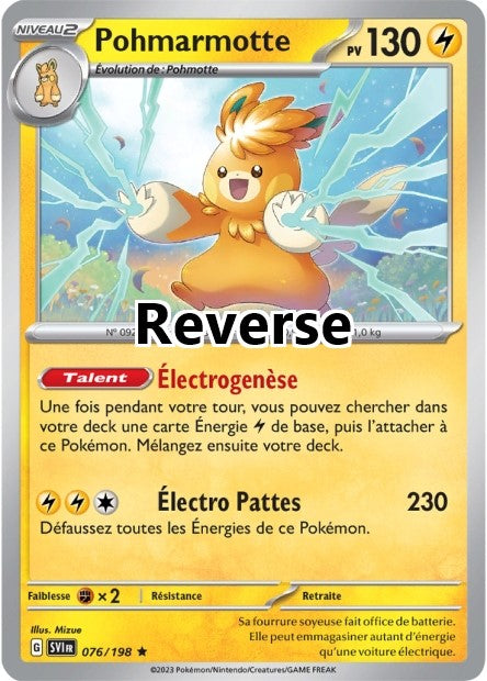 Pohmarmotte reverse
