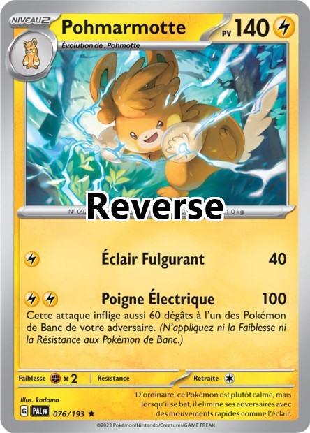 Pohmarmotte reverse