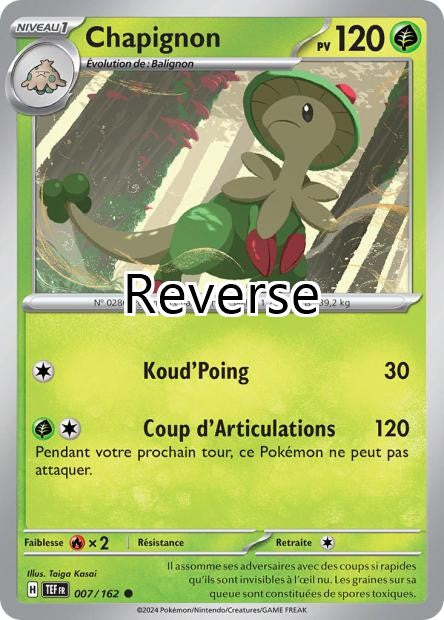 Chapignon reverse