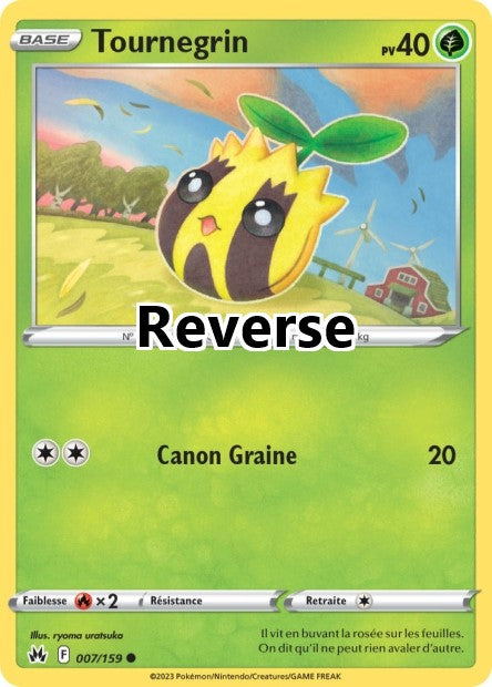 Tournegrin reverse