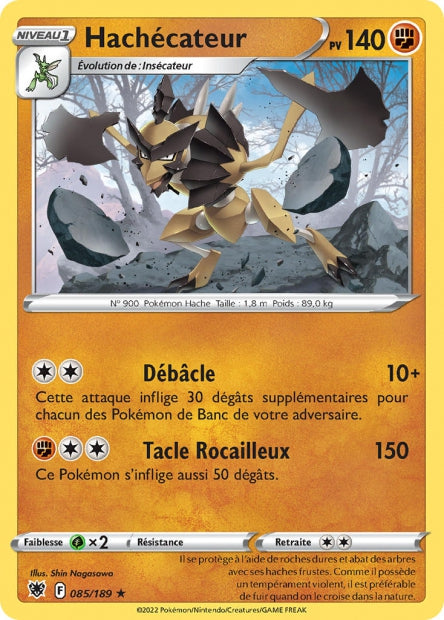 Hachecateur