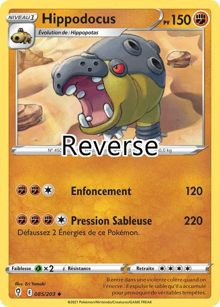 Hippodocus reverse