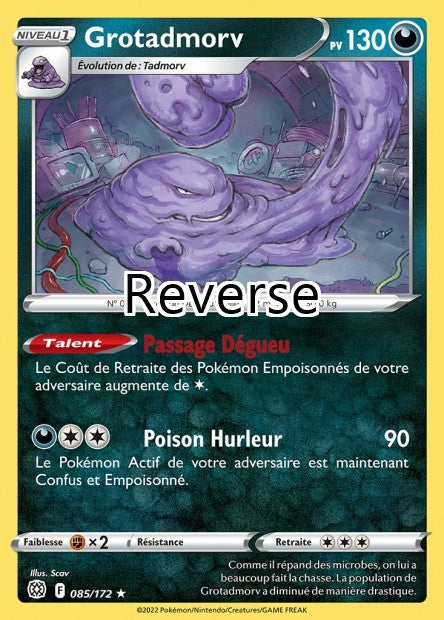 Grotadmorv reverse