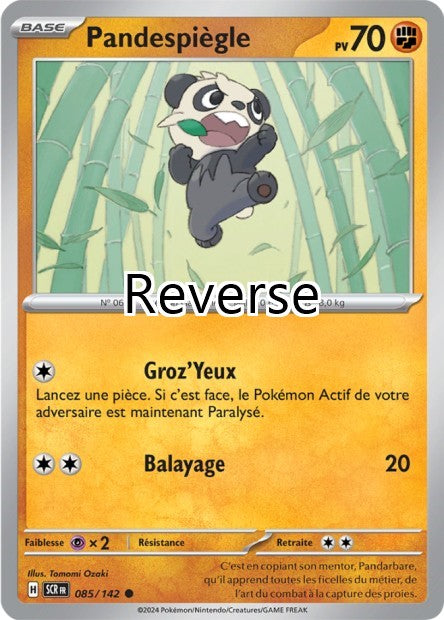 Pandespiègle reverse