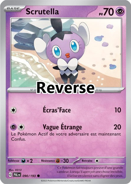 Scrutella reverse