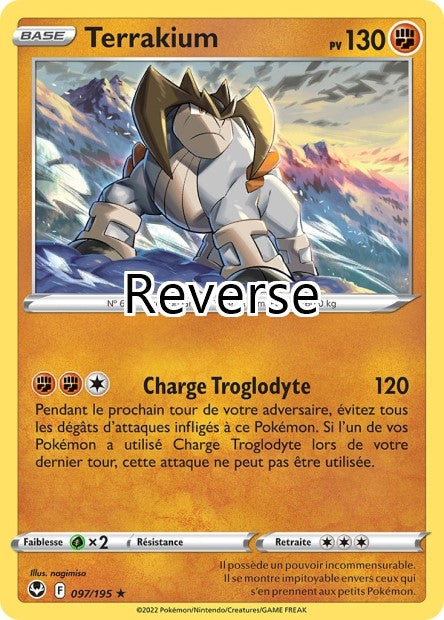Terrakium reverse