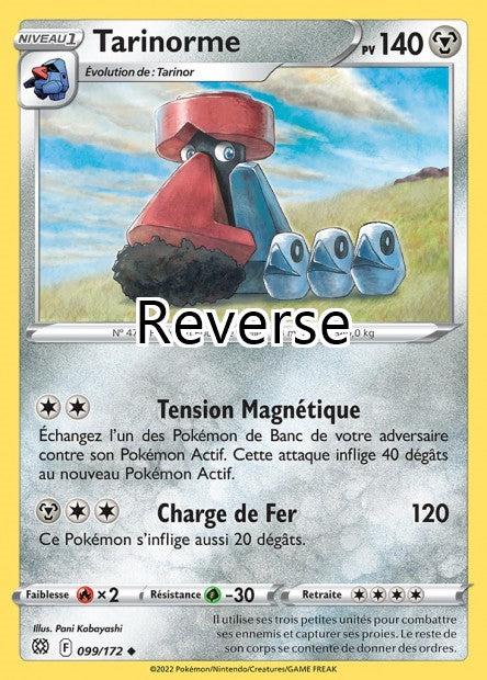 Tarinorme reverse