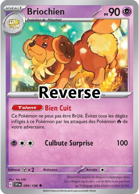 Briochien reverse