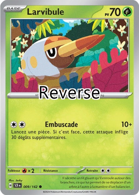 Larvibule reverse