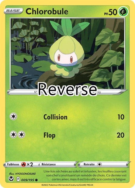 Chlorobule reverse
