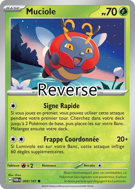 Muciole reverse
