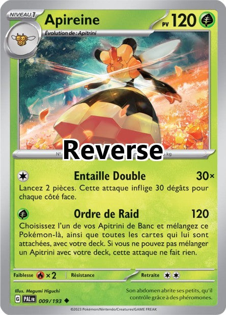 Apireine reverse