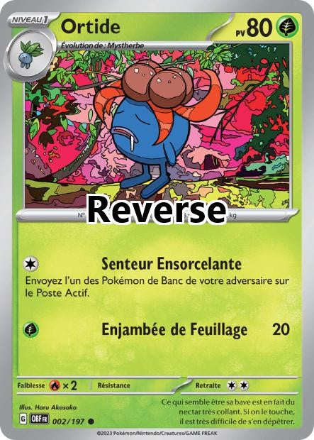 Ortide reverse