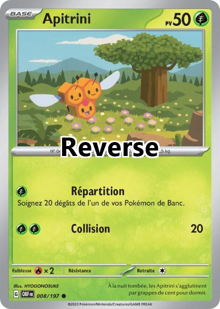 Apitrini reverse
