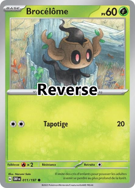 Brocélôme reverse
