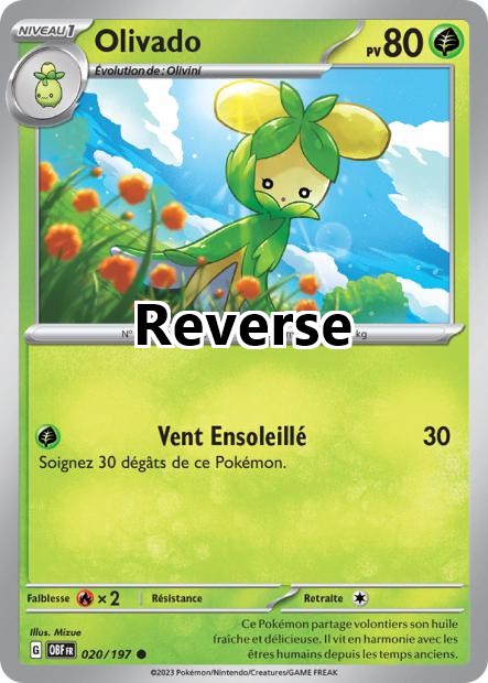 Olivado reverse