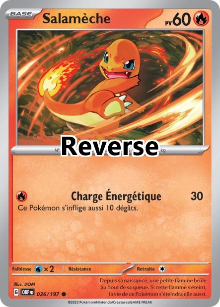 Salamèche reverse