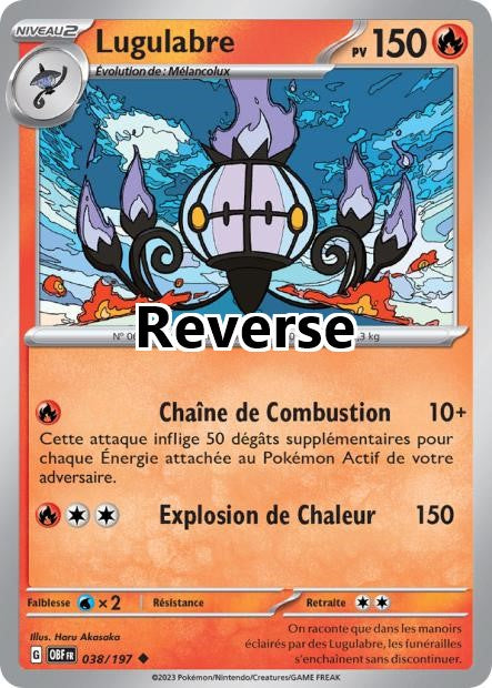 Lugulabre reverse
