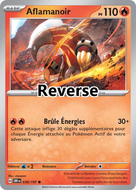 Aflamanoir reverse