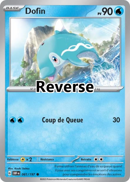 Dofin reverse